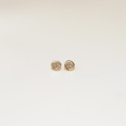 Puce d'oreilles Vénus