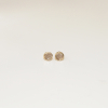 Puce d'oreilles Vénus